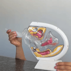 El Kit Esencial Que Toda Mujer Necesita