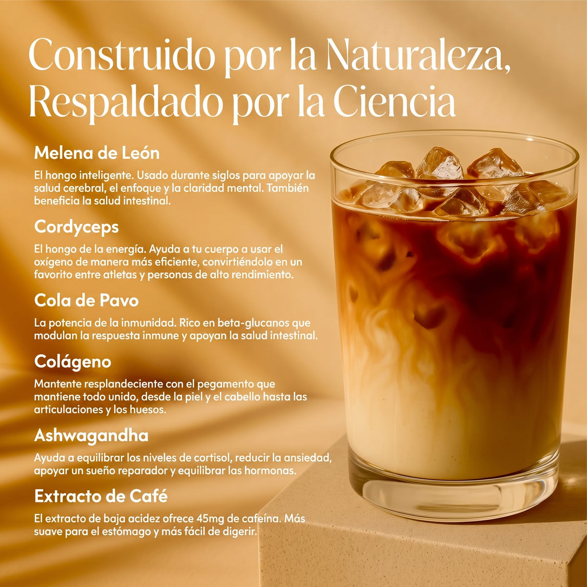 Café Erth Superfood + Kit de Inicio GRATIS